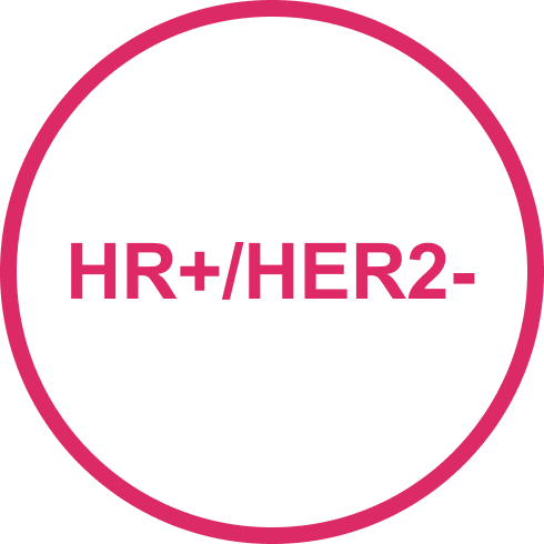 hr+her2-