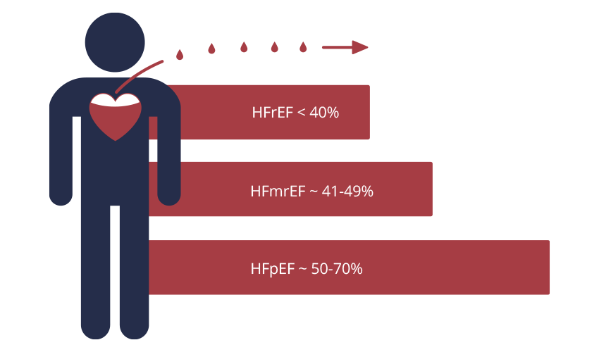 Sisotolicko infografik