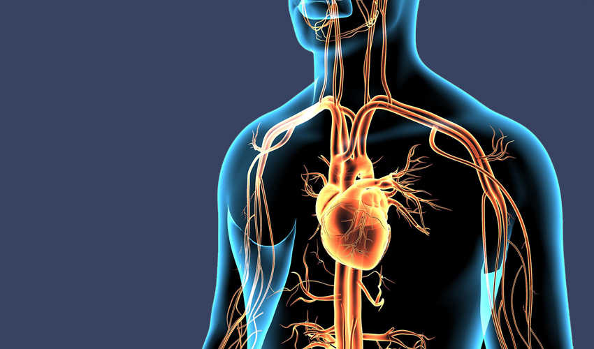 Koronarna-bolest-srca---Plava--850-x-500.jpg