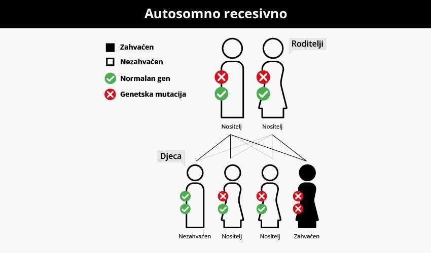 autosomno recesivno