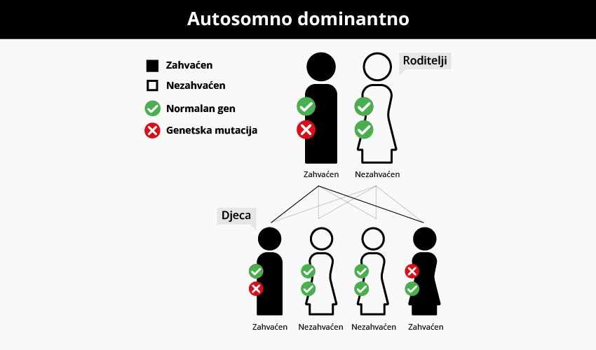 autosomno dominatno