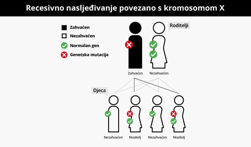 Recesivno nasljedivanje povezano s kromosomom X