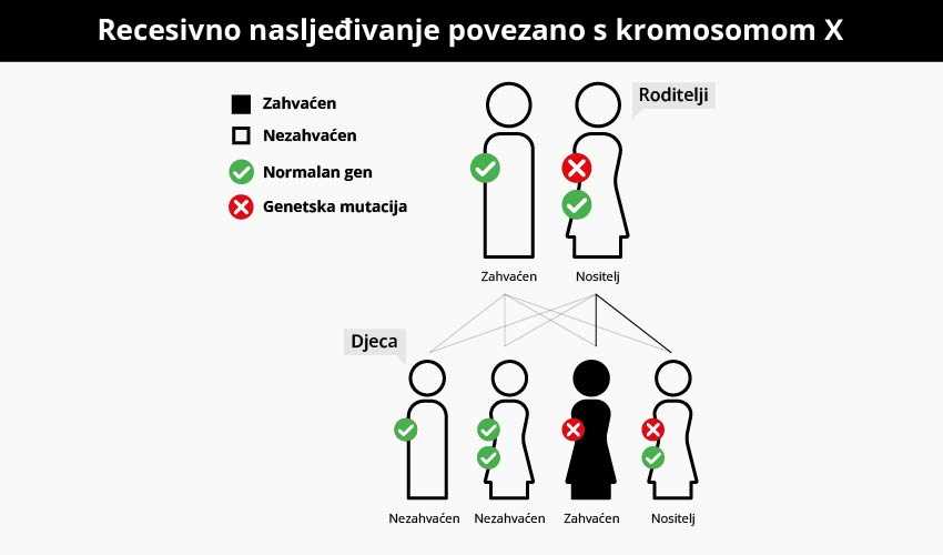 Recesivno nasljedivanje povezano s kromosomom X
